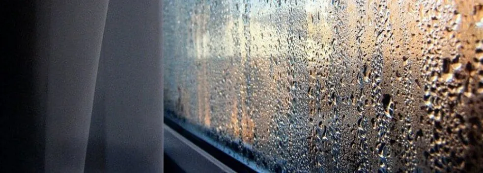 30078064 579193025795075 2974450201793658880 N