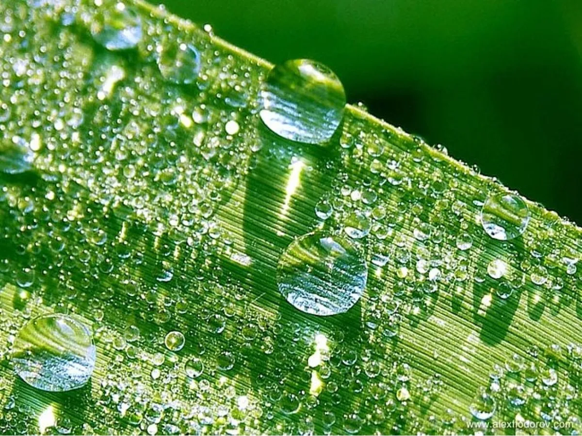 Air Humidity 3 1200x900 1