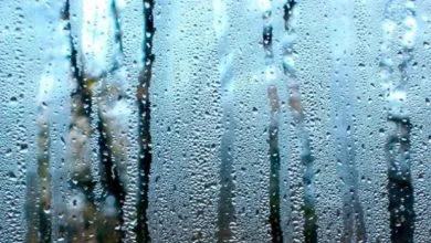 Yaka Povynna Buty Vologist Povitrya V Kvartyri