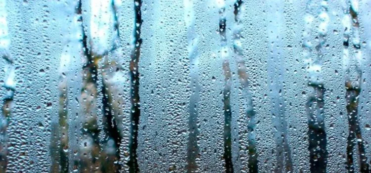 Yaka Povynna Buty Vologist Povitrya V Kvartyri